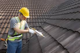 Best Cold Roofs  in La Luz, NM